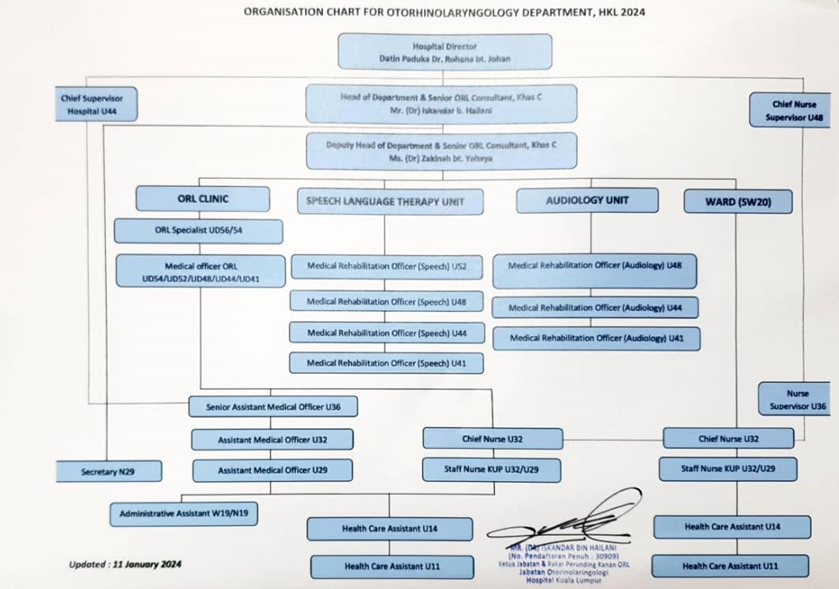 Chart Otorinolaringologi