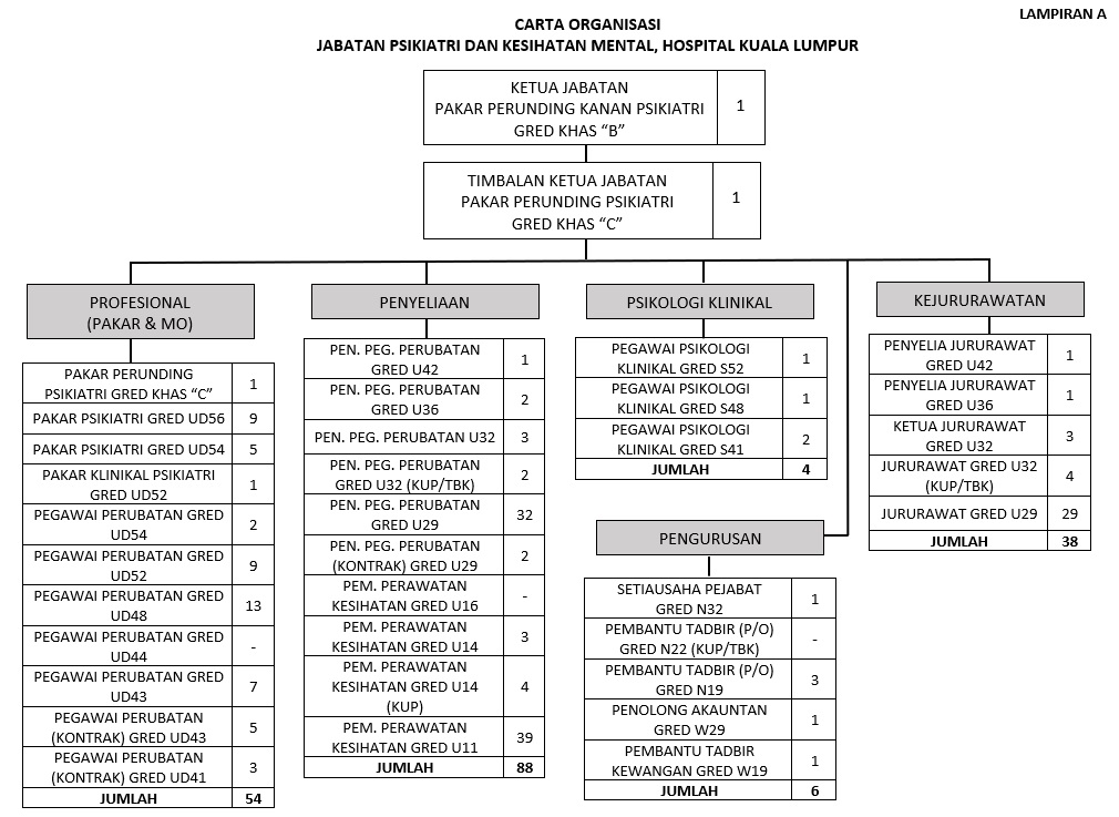 CPerjawatan psikiatri my